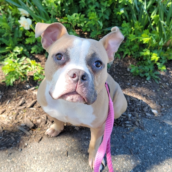 Meet your Posher - Picture 1 of 1